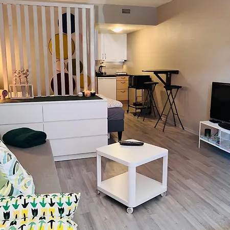 Apartment Sentralt Beliggende Studioleilighet Gol