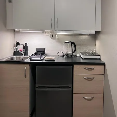 Sentralt Beliggende Studioleilighet Apartment Gol